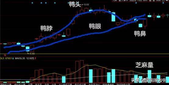 老鸭头形态详解买卖技巧大揭秘千金难买
