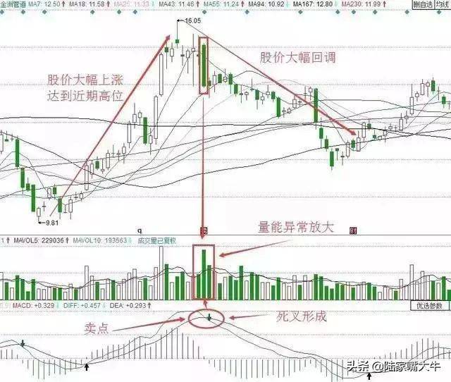 这是我见过最好的交易模式MACD成交量均线堪称炒股界教科书