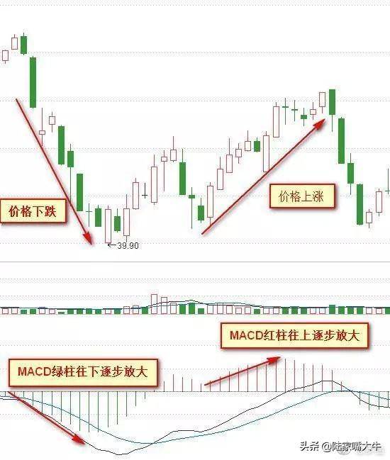 这是我见过最好的交易模式MACD成交量均线堪称炒股界教科书