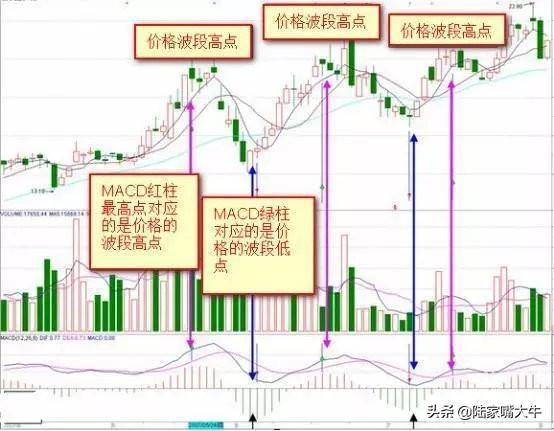 这是我见过最好的交易模式MACD成交量均线堪称炒股界教科书