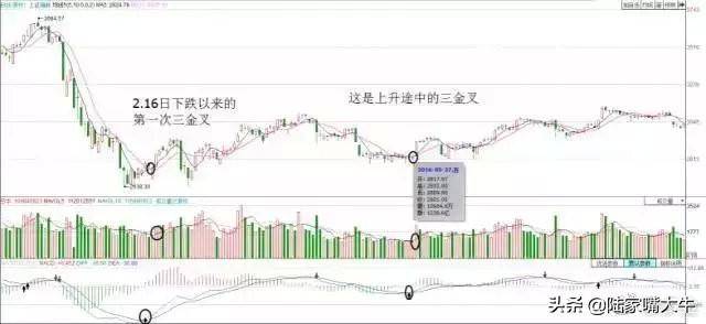 这是我见过最好的交易模式MACD成交量均线堪称炒股界教科书