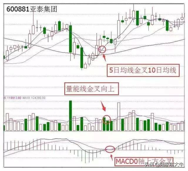 这是我见过最好的交易模式MACD成交量均线堪称炒股界教科书