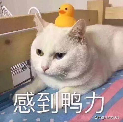 实用的均线理论精华实战赚钱不二法宝！