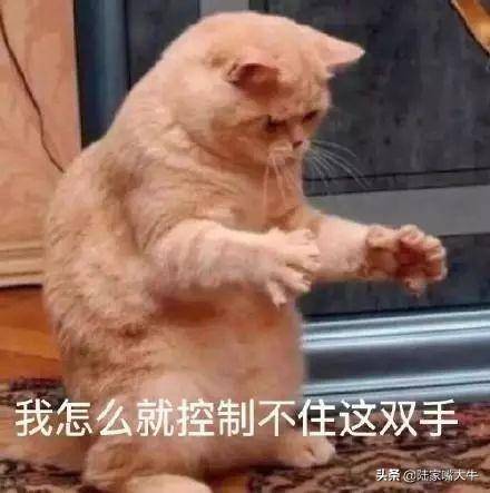 实用的均线理论精华实战赚钱不二法宝！