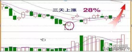 尾盘30分钟技巧