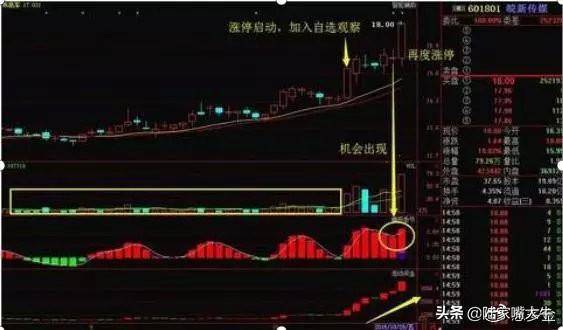 值得阅读百遍的股市交易文章只买龙回头的股票从不被套牢