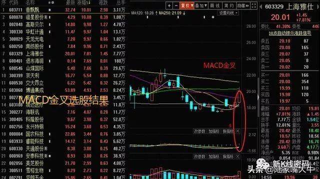 股价的生命线MA24的用法常见的生命线选股操作
