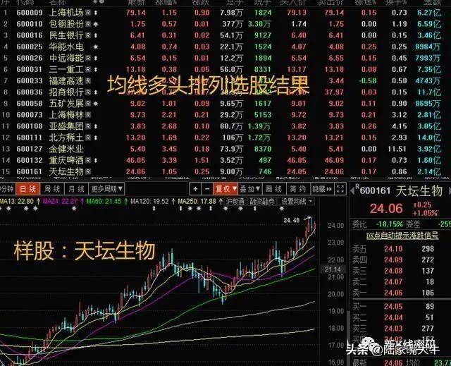 股价的生命线MA24的用法常见的生命线选股操作