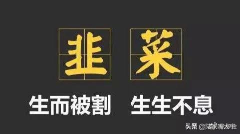 大道至简成交量八阶律终极战法八步合一一招抓涨停