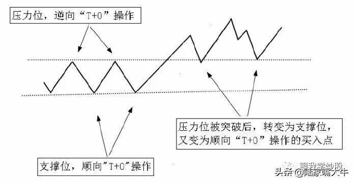 游资机构热衷的T0交易技巧T0选股思路和案例上