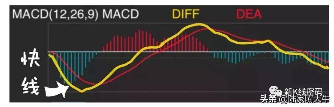 MACD指标的运用MACD金叉和死叉抄底和逃顶术