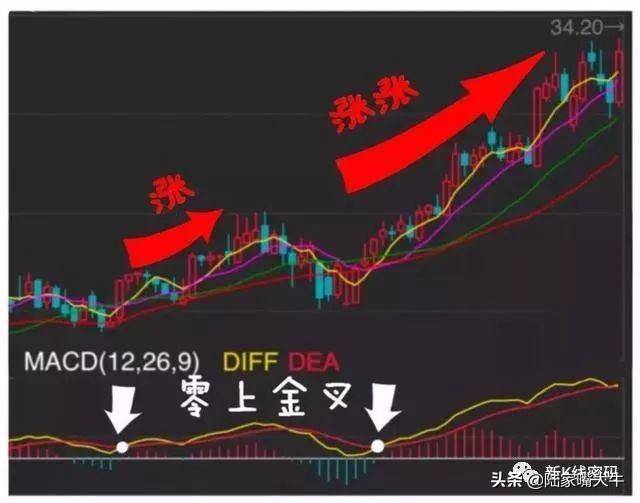 MACD指标的运用MACD金叉和死叉抄底和逃顶术