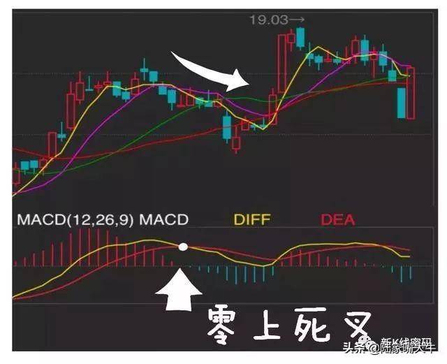 MACD指标的运用MACD金叉和死叉抄底和逃顶术