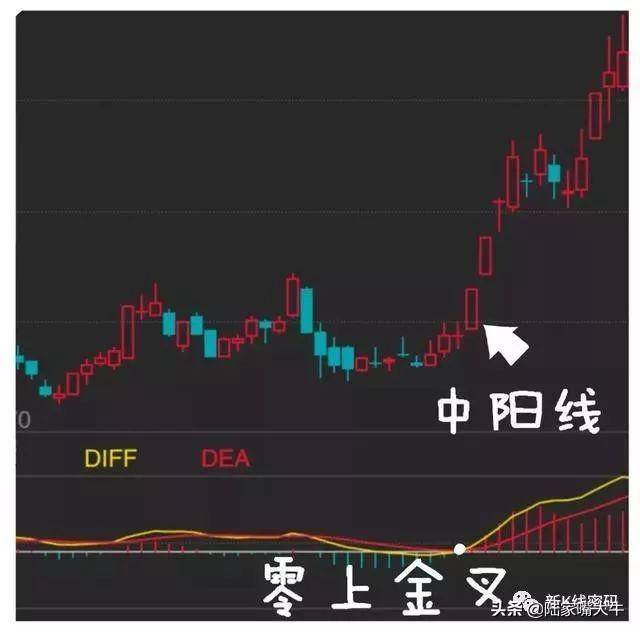 MACD指标的运用MACD金叉和死叉抄底和逃顶术