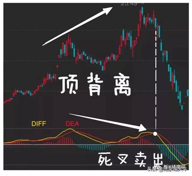 MACD指标的运用MACD金叉和死叉抄底和逃顶术