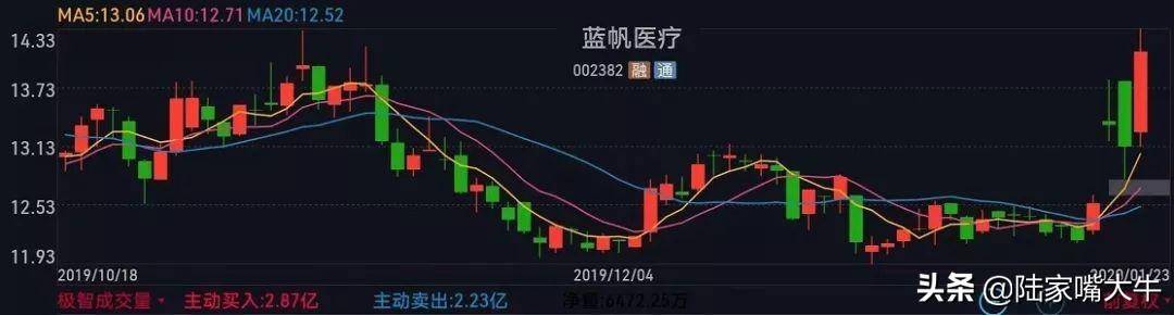 什么是金蜘蛛？金蜘蛛形态实战操作技巧详解！