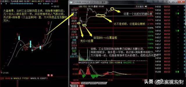 如何进行龙头股低吸？四大低吸模式策略深度教程
