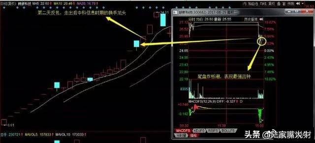 如何进行龙头股低吸？四大低吸模式策略深度教程
