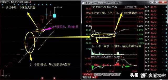 如何进行龙头股低吸？四大低吸模式策略深度教程