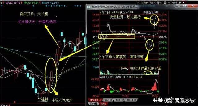 如何进行龙头股低吸？四大低吸模式策略深度教程