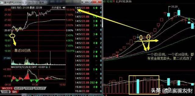 如何进行龙头股低吸？四大低吸模式策略深度教程