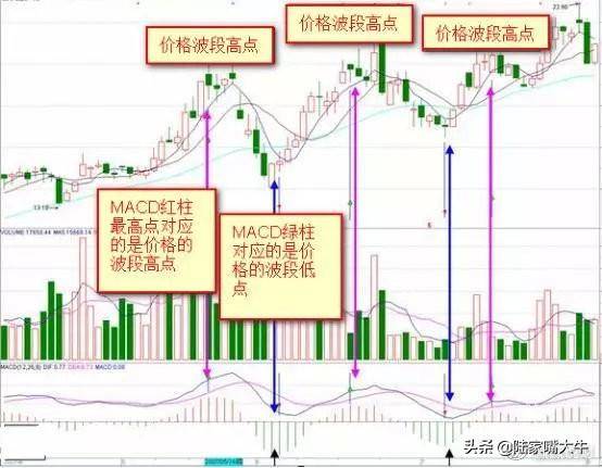 第一次有人把MACD说清了死记红柱绿柱远比金叉死叉准确