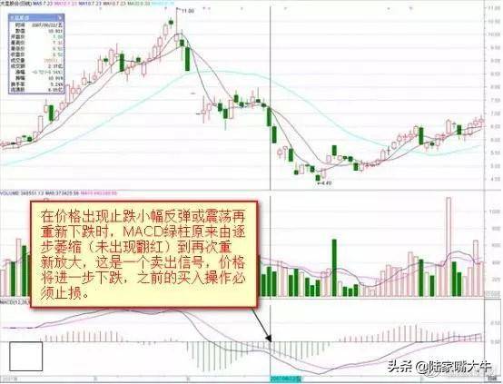 第一次有人把MACD说清了死记红柱绿柱远比金叉死叉准确