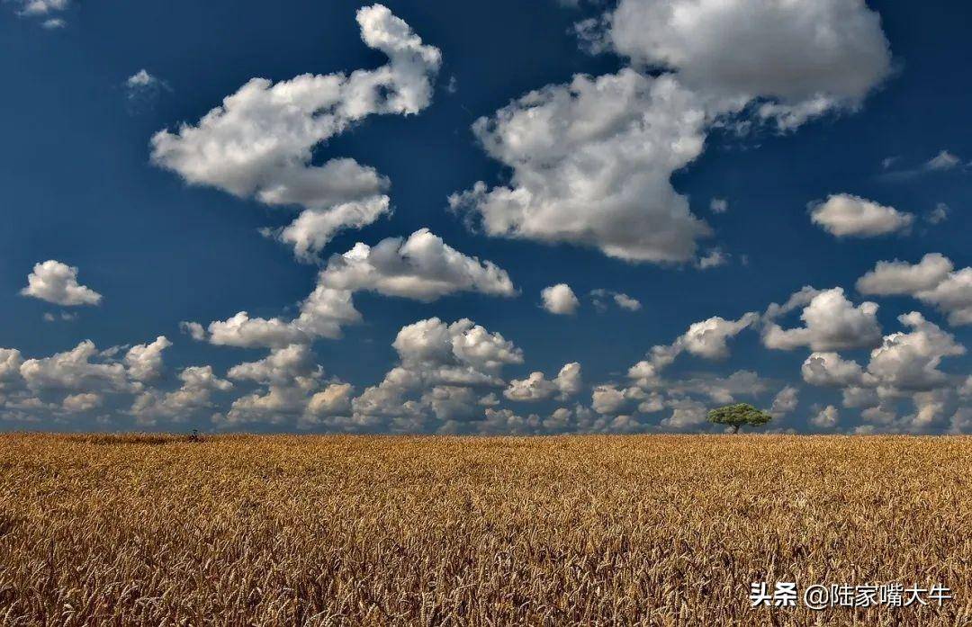 图解拐点和拐点线画法细分解在上升和下降趋势中拐点的绘制过程
