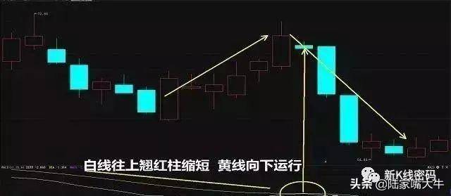 MACD指标金叉死叉的陷阱与馅饼