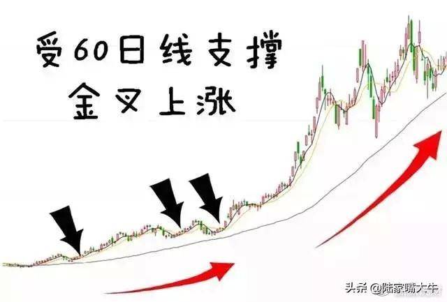 交易员10年投资笔记曝光如何用3根均线吃透所有利润大道至简
