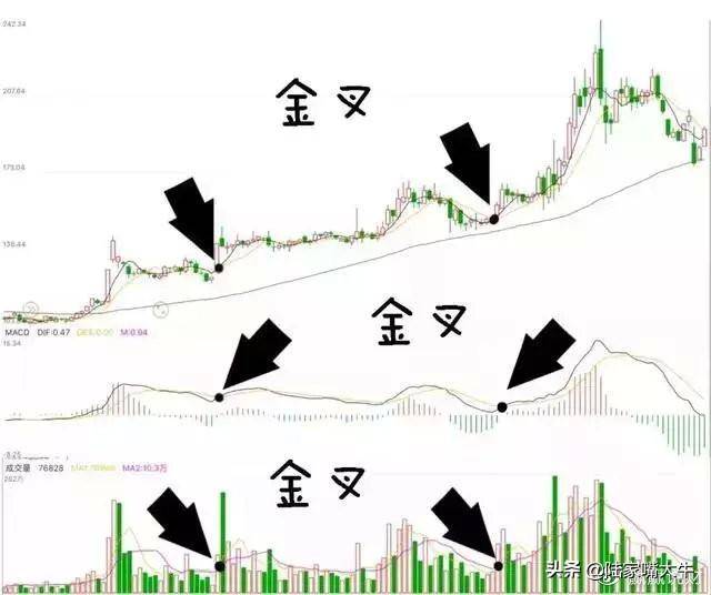 交易员10年投资笔记曝光如何用3根均线吃透所有利润大道至简