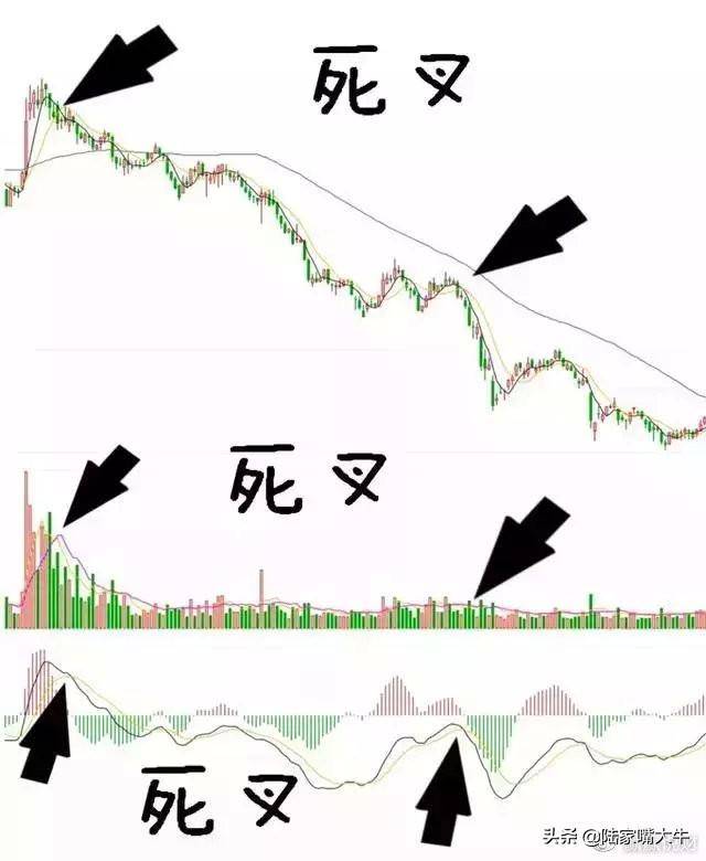 交易员10年投资笔记曝光如何用3根均线吃透所有利润大道至简
