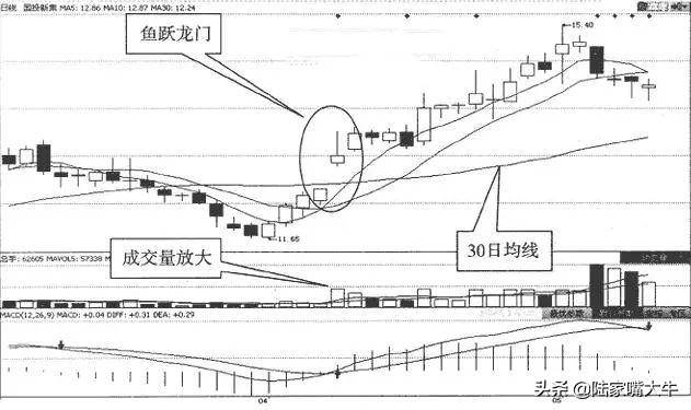 鱼跃龙门形态典型的看涨信号轻松捕捉强势股实战图解