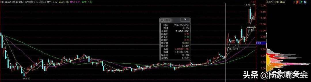 主力筹码有什么特点？筹码分布战法教你识别主力运作股票的流程