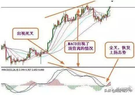 反弹行情中见顶出逃的信号股价跌破5日均线卖出技巧