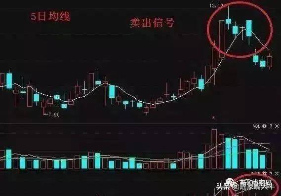 反弹行情中见顶出逃的信号股价跌破5日均线卖出技巧
