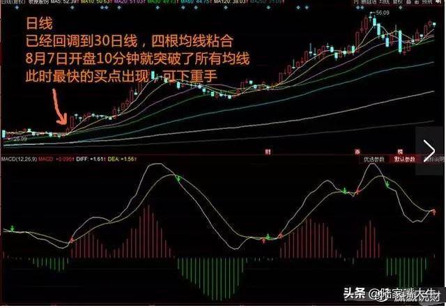 这才是大道至简月线看趋势周线看方向日线看位置句句经典