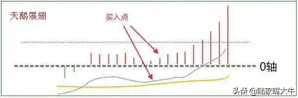 MACD指标使用技巧一旦遇到以下形态走势大胆买进卖出！
