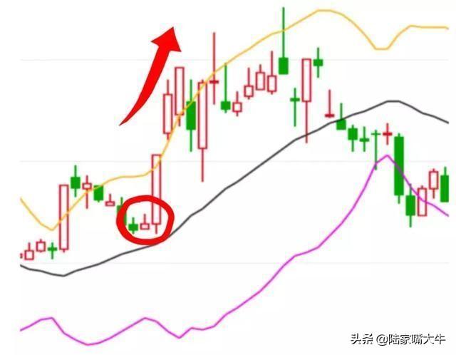 BOLL布林线怎么用！布林线5日均线和MACD指标共振的买卖方法