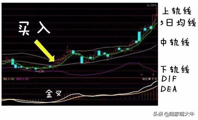 BOLL布林线怎么用！布林线5日均线和MACD指标共振的买卖方法