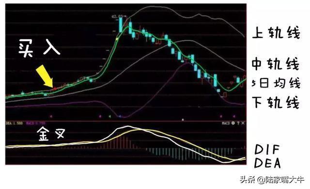 BOLL布林线怎么用！布林线5日均线和MACD指标共振的买卖方法