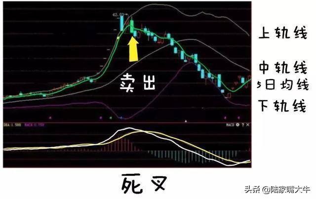 BOLL布林线怎么用！布林线5日均线和MACD指标共振的买卖方法