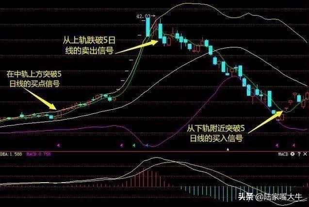 BOLL布林线怎么用！布林线5日均线和MACD指标共振的买卖方法