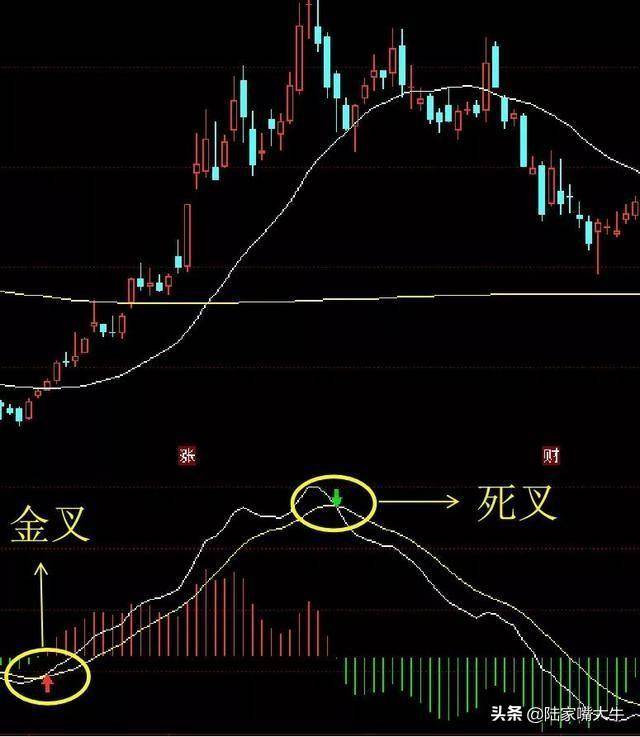 指标之王第一次有人把MACD运用得出神入化值得读十遍