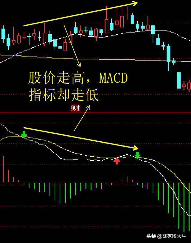 指标之王第一次有人把MACD运用得出神入化值得读十遍
