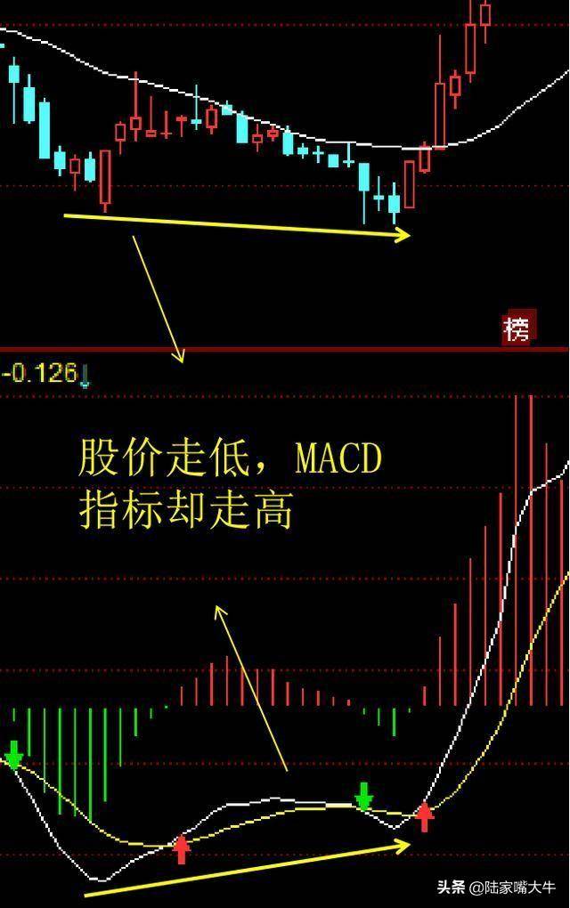 指标之王第一次有人把MACD运用得出神入化值得读十遍