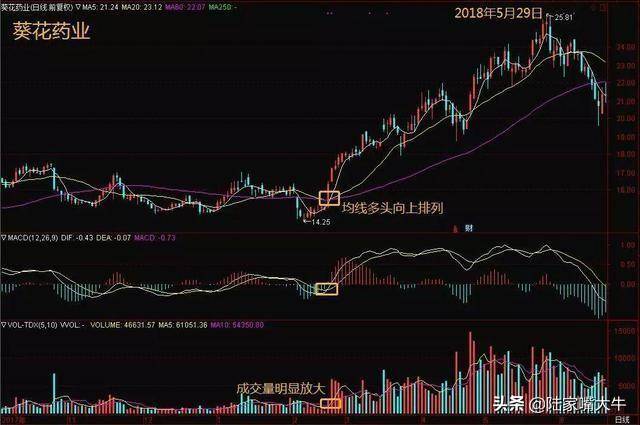 指标之王第一次有人把MACD运用得出神入化值得读十遍
