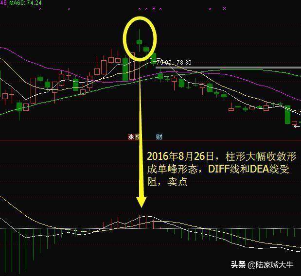 指标之王第一次有人把MACD运用得出神入化值得读十遍