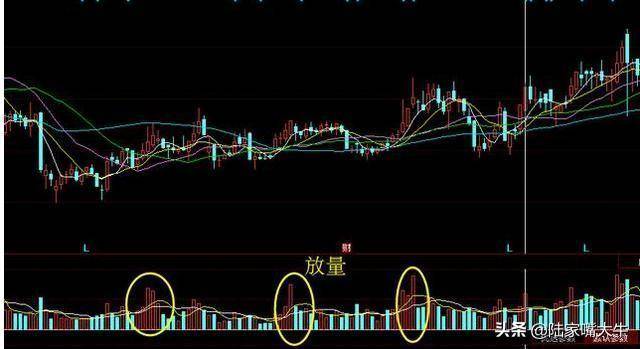 神奇的成交量指标炒股就是炒成交量读懂量价就读懂了股市
