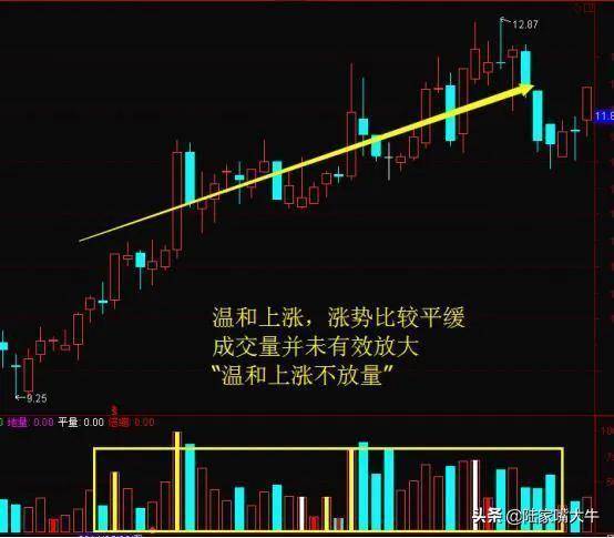 神奇的成交量指标炒股就是炒成交量读懂量价就读懂了股市